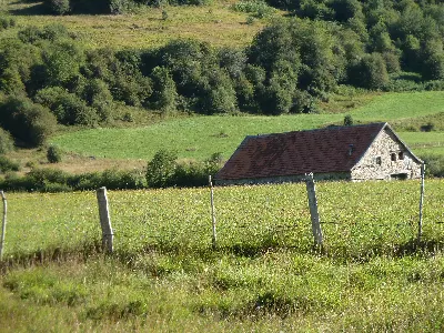 Borda