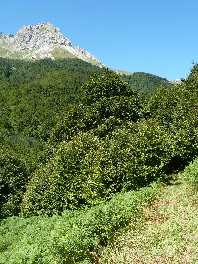 Lakartxela y Arrakogoiti