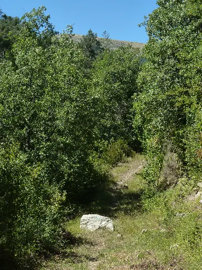 Camino la Boca