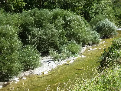 Río Ezka ibaxa