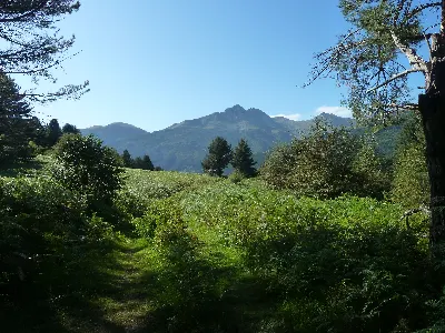 Lakartxela
