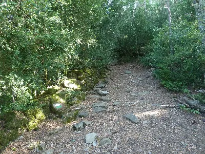 Camino Mariañe Bidea