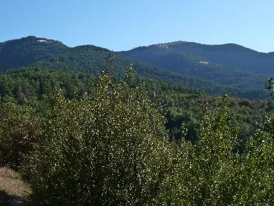 Kalbeira
