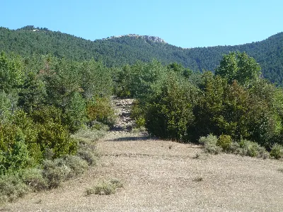 Camino de la Ermita