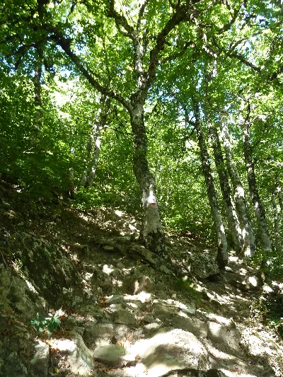 Laderas de Larrondo inguruan