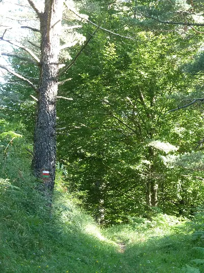 Udaberria/Primavera