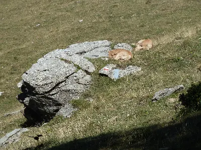 Atsedena/Descanso