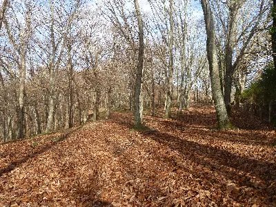 UDAZKENA/OTOÑO