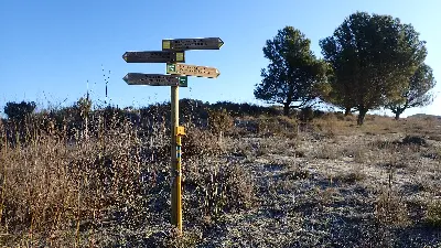 010