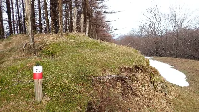 016