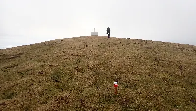 017