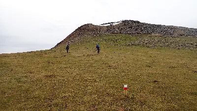 021