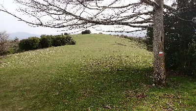 039