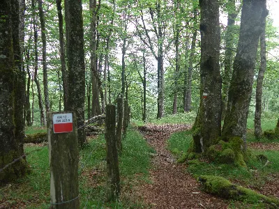 Tramo compartido GR 323.5 y GR 12 cerca de Intxusburu