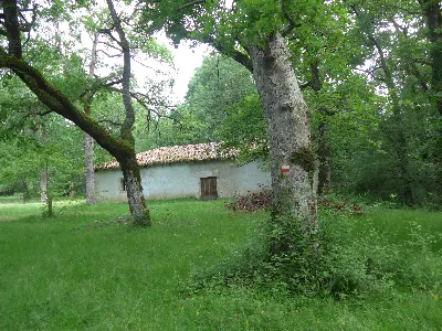 Ermita de San Pedro de Alsasua