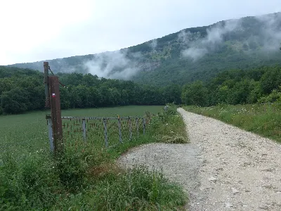 Salida del bosque hacia Etxarri1