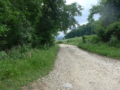 Salida del bosque hacia Etxarri2