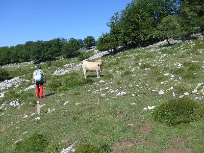 Entre puertos de Etxarri y Bakaiku2