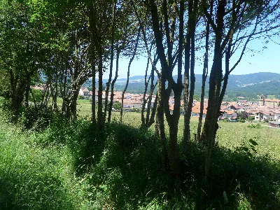 Cerca de Urdiain