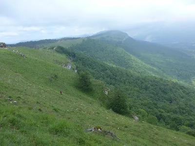 Cerca de Oineta 