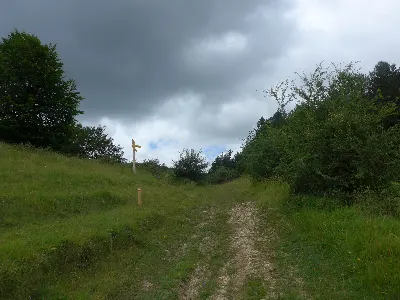 Llegando a Bakaiku